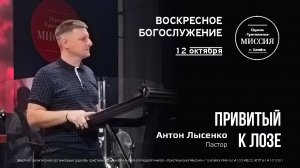 Привитый к лозе | Антон Лысенко | #цхм