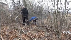 Экспедиция добровольцев из молодёжных отрядов Малахит, Общество Будущее, Флотилия Флагман, Ковчег