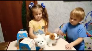 Новые питомцы ..