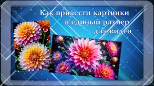Как привести картинки в единый размер для видео