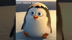 \бр бр патапим\