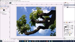 Инструменты цветокоррекции в GIMP