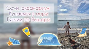 Сочи, океанариум 🐠Купаемся в море🪼Гуляем по Ривьере🌴