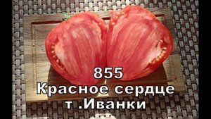 Каталог с обзором .9 часть