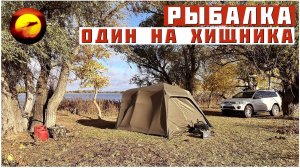 ЗАПРЕТ ЩУКИ! ОДИН НА ХИЩНИКА / Рыбалка, Горячее Копчение и Шикарный Отдых