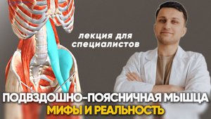 Подвздошно-поясничная мышца: всё, что нужно знать. Лекция для специалистов.