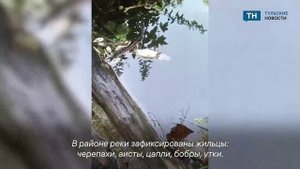 Туляк обратил внимание на загрязнение реки Тулица в районе Веневского шоссе