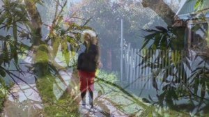 Пернатая гадалка