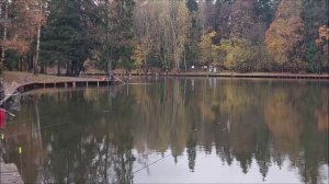 Рыбалка на нижнем водоёме. Клёвое место, Лосиный остров.