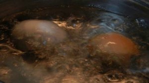 Салат Оливье с раковыми шейками