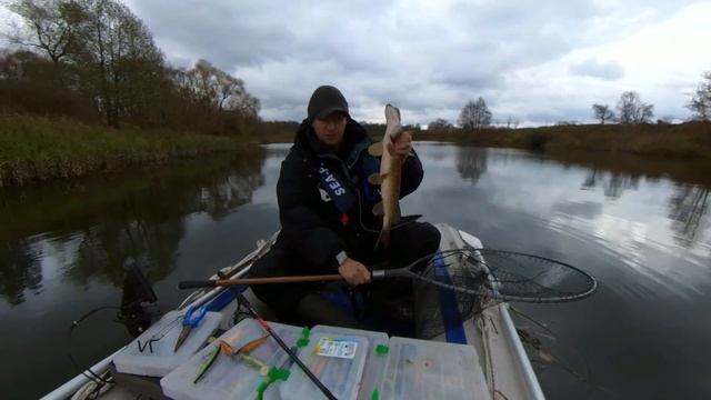 Серьёзная рыба смотреть онлайн