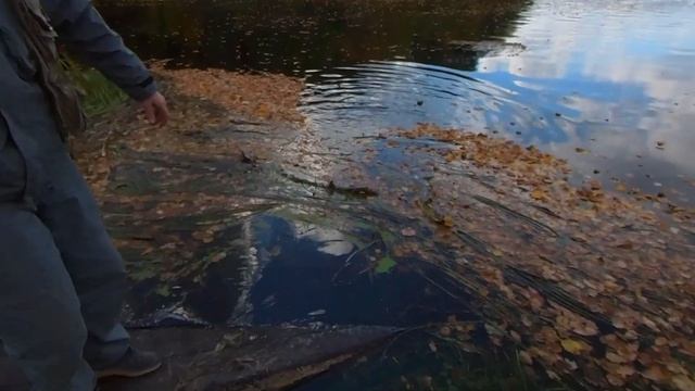 Удачный вечер ! смотреть онлайн