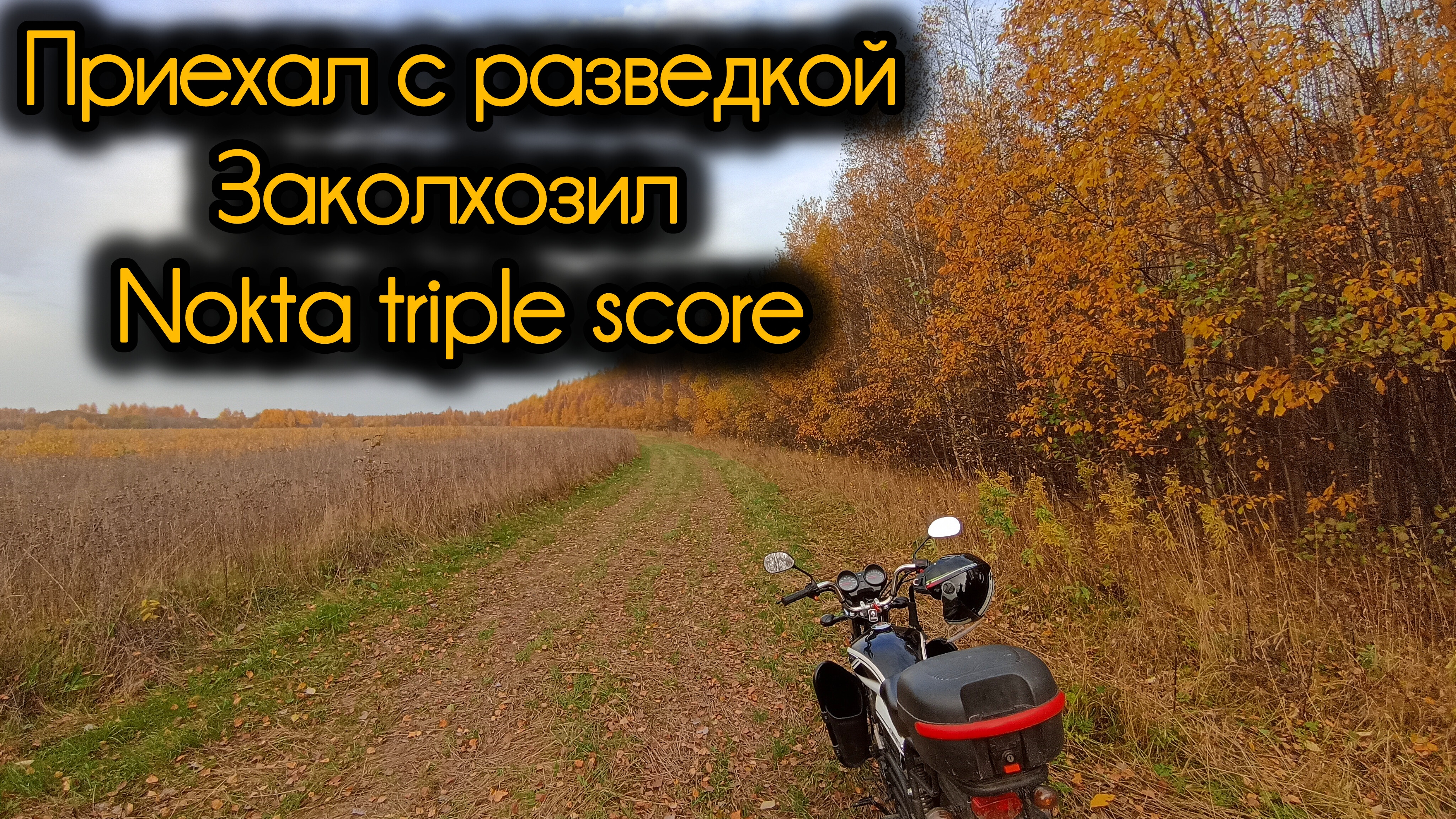 Приехал с разведкой:Возникла проблема с металлоискателем Nokta triple score смотреть онлайн