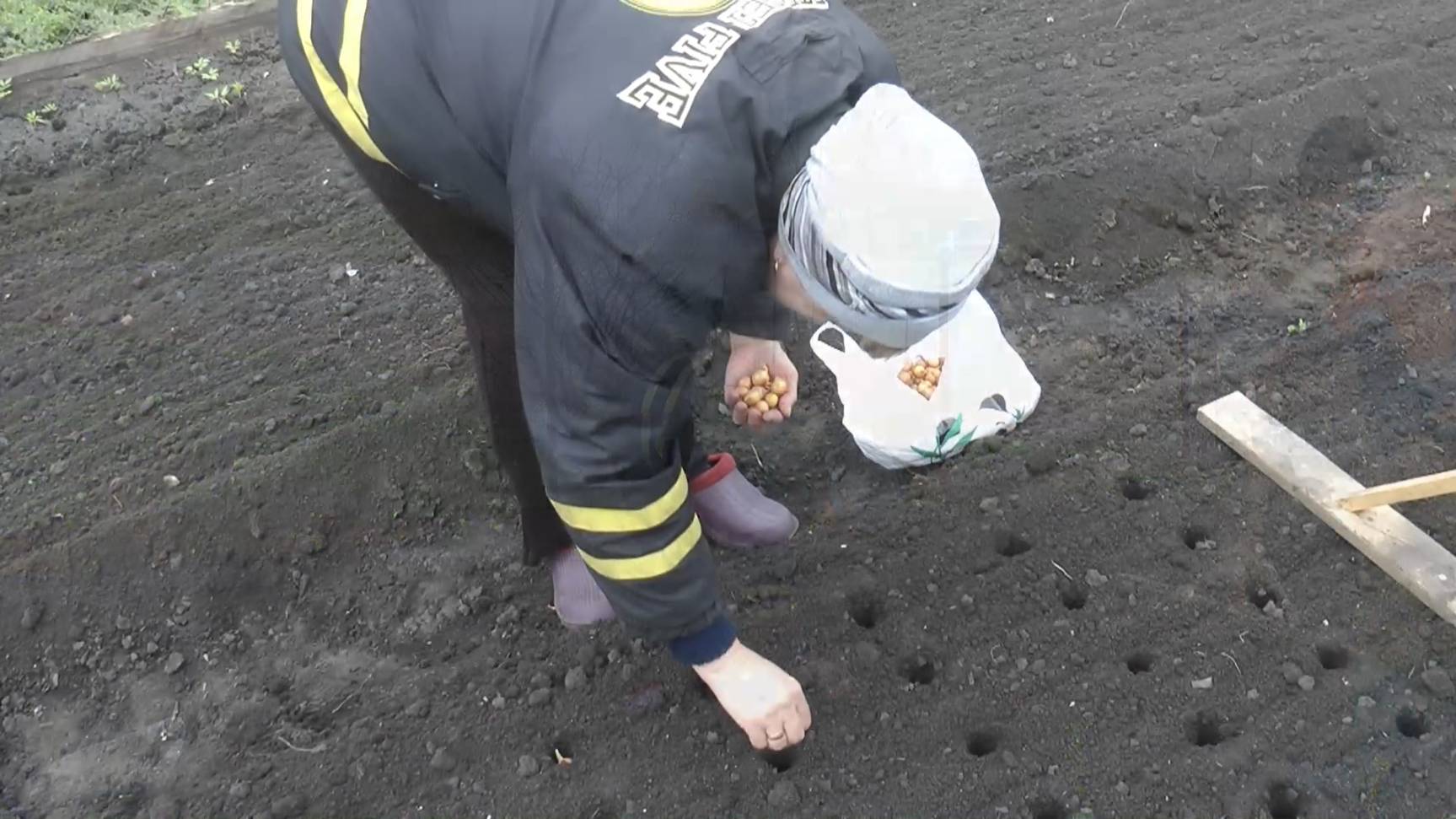 Посев горчицыпосадка чесноказаготовка семян картофеля 2025г.