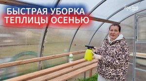 ОСЕННЯЯ УБОРКА ТЕПЛИЦЫ БЕЗ НАДРАИВАНИЯ РУКАМИ. КАК Я НАМЫЛА ПЯТЬ ТЕПЛИЦ ЗА ПОЛЧАСА БЕЗ СУЕТЫ.