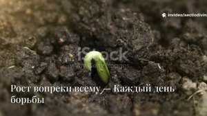 Путь к успеху. Когда в тебя никто не верит, а ты идёшь к цели