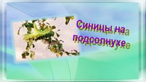 Повесили подсолнух возле кормушек