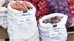 Сельхозярмарки в Нижнекамске