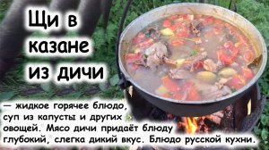Щи из дичи