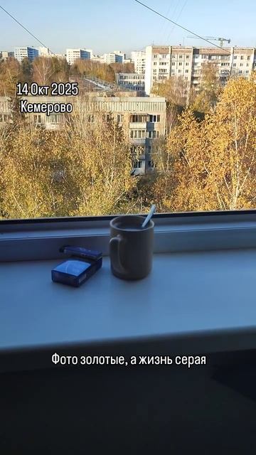 2025-10-14 смотреть онлайн