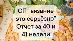 СП "вязание это серьезно" отчет за 40 и 41 недели