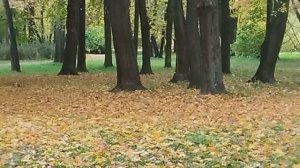 #В парке.