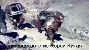 Привезем авто из кореи,китая, японии