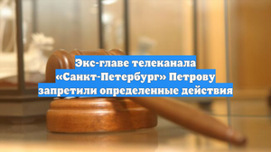 Экс-главе телеканала «Санкт-Петербург» Петрову запретили определенные действия