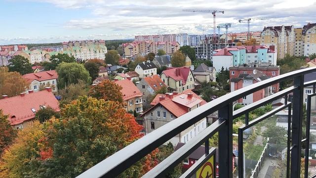 На смотровой площадке Мурариума в Зеленоградске смотреть онлайн