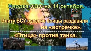 Сводка СВО на 14 октября. Элиту ВСУ русские бойцы раздавили на «встречке»