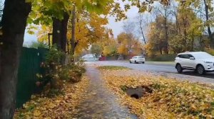 Парголово. Санкт-Петербург. Осень!