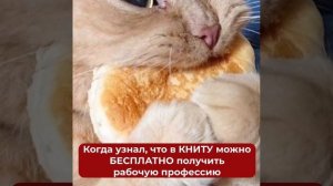 Студенты #ЛюбимогоТехнологического могут сейчас БЕСПЛАТНО получить рабочую профессию