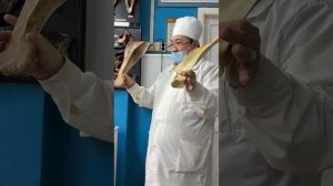 Лопатка 14-10-2025