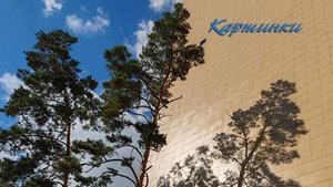 Б.О.С.Х. Альбом "Картинки" (2025 год)