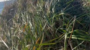 copy_25269C6E-7822-49C2-BA77-D4D2DE9BB114