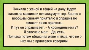 У меня жена тоже блондинка! Сборник Анекдотов №5 Юмор