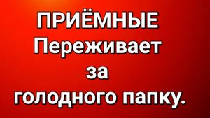 Приёмные/Обзор.