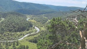 ЕСАУЛОВСКАЯ ПЕТЛЯ КРАСНОЯРСК С. БАРХАТОВО