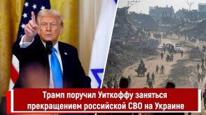 Трамп поручил Уиткоффу заняться прекращением российской СВО на Украине