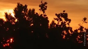 Песня "Касание руки" на стихи Екатерины Джилл в исполнении нейросети