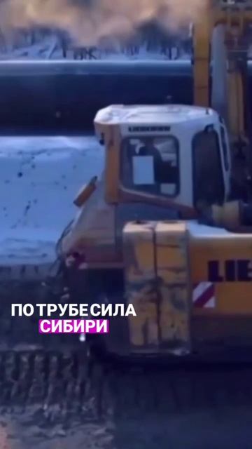 Завершается строительство нового ГПЗ в России #shorts смотреть онлайн