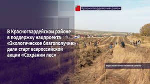 В регионе поддержку нацпроекта «Экологическое благополучие» дали старт акции «Сохраним лес»