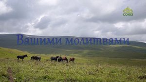 Письма из провинции. 16 октября 2025