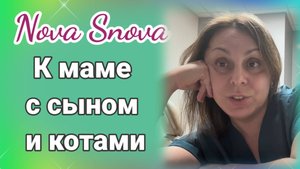 Нова Снова - с сыном и котами поехали к маме