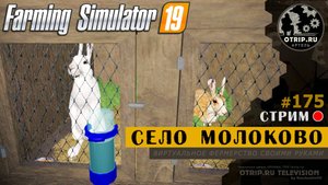 Farming Simulator 19 ● Карта Село Молоково / стрим 175