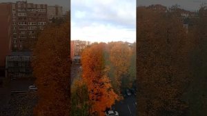 Доброе Утро Санкт-Петербург