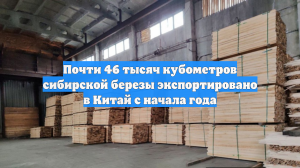 Почти 46 тысяч кубометров сибирской березы экспортировано в Китай с начала года