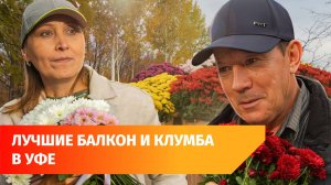 В Уфе выбрали лучший балкон и клумбу