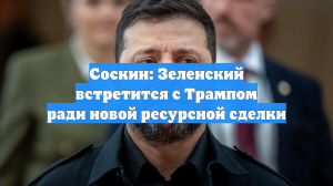 Соскин: Зеленский встретится с Трампом ради новой ресурсной сделки