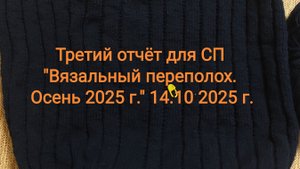 СП "Вязальный переполох. Осень 2025 г.". Третий отчёт.